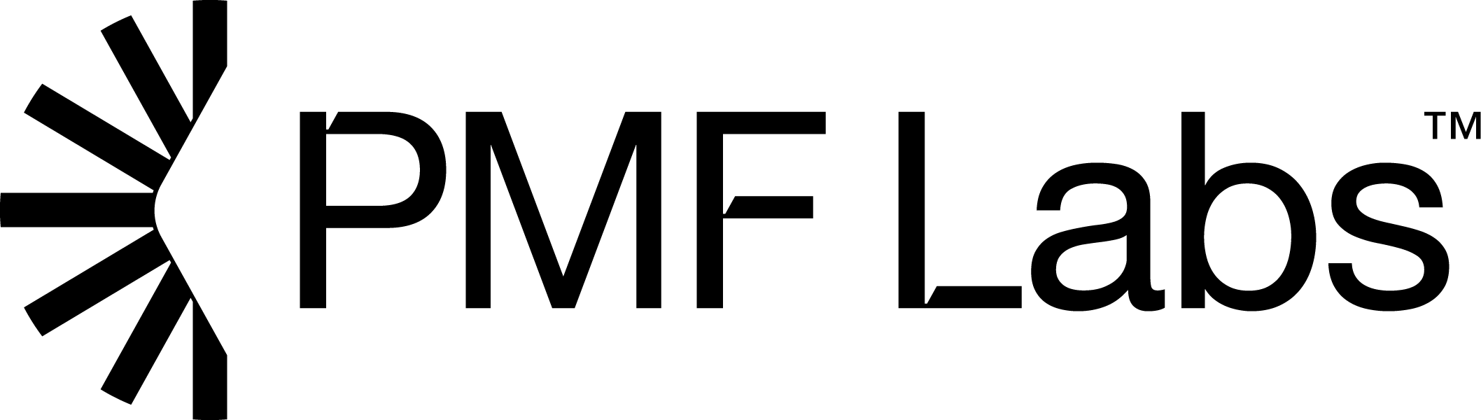 PMFLabs Logo